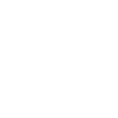 ANSI
