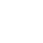 BSI