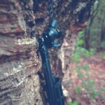 Superhuman Hearing: How M20T PRO Gives You the Edge in the Whitetail Woods